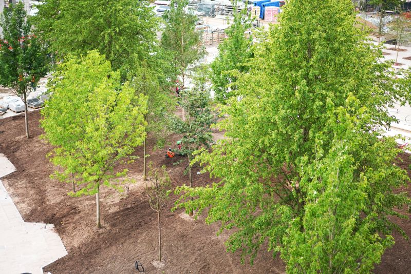 Озеленение ЖК «Прайм Парк» на Ленинградском проспекте
