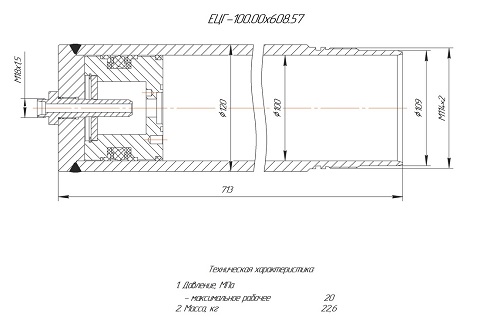 ЕЦГ-100.00х608.57 Гидроцилиндр