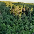 Продается Евротрешка метро Кунцевская, 15минут транс., микр-н Новая Трехгорка, г. Одинцово