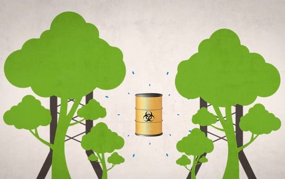 Утилизируйте отходы правильно, чтобы сохранить природу