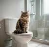 Кот сидит на унитазе в современной просторной ванной комнате