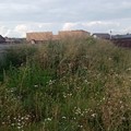 Участок 6 сот с фундаментом и подвалом в 20 км до Москвы