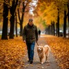 Прогулка в городском парке
