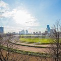 Уютная квартира-студия с потрясающим видом