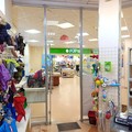 Сдается магазин 42,32 кв.м. на входе в ТЦ