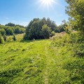 Продам земельный участок в Ульянино без соседей 