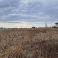 Участок 5 Га в деревне Григорово 50 км от МКАД
