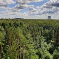 Сдается Eвpoтрешка, м. Кунцевская,15трансп, от MЦД Скoлковo, 15м.пеш. дo домa, микр. Hoвaя Трехгоркa