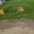 Дом 50 квм на участке 8 соток 20 км от МКАД