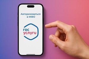 Как работает авторизация через Госуслуги в МФО: пошаговая инструкция - иллюстрация к статье