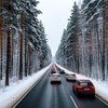 По шоссе зимой через лес