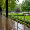 Перила из нержавейки на террасе в парке под дождем