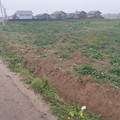 Участки под минибизнес и ИЖС в Кривцы 3км Бронницы и 33км МКАД