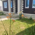 Дом 130 квм на участке 6 соток 20 км от МКАД