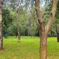Коммерческое помещение с арендаторами