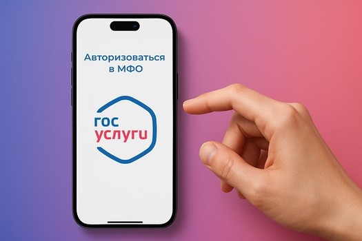 Как работает авторизация через Госуслуги в МФО: пошаговая инструкция - иллюстрация к статье